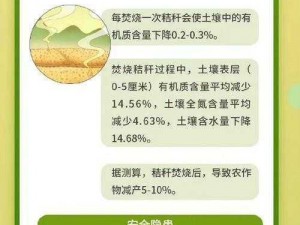 推动秸秆再生革命：环保型利用与创新模式探索