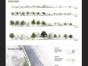 罗德岛基础设施建设优化方案探讨：探索最佳配置路径