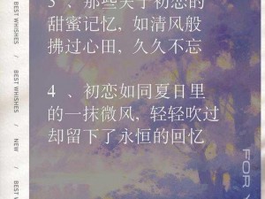 忆恋之美好回忆的深刻印记或者更精简一些：忆恋篇章：情感的时光轨迹