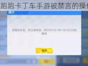 《解决跑跑卡丁车手游被禁言的操作指南》