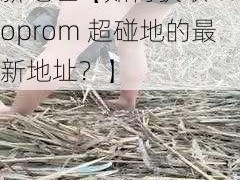 caoprom超碰地最新地址【如何获取 caoprom 超碰地的最新地址？】