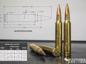 绝地求生手游中300马格南弹药数据分析，解析给哪些枪支配备更完美