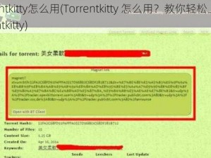 torrentkitty怎么用(Torrentkitty 怎么用？教你轻松上手 Torrentkitty)