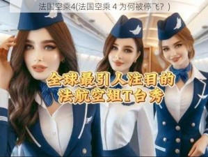 法国空乘4(法国空乘 4 为何被停飞？)