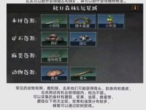 明日之后：秋日森林归家指南——如何规避携带感染品物品的技巧