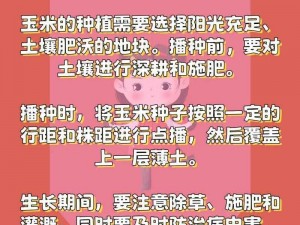 缺氧环境下的可种植食物培育攻略：实用指南助你探索生存种植新领域