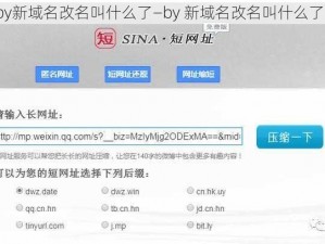 by新域名改名叫什么了—by 新域名改名叫什么了？