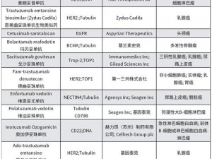 ADC十八岁年龄确认功能介绍(如何使用 ADC 十八岁年龄确认功能？)