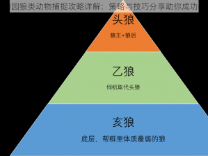 疯狂动物园狼类动物捕捉攻略详解：策略与技巧分享助你成功捕捉狼群