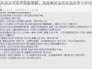 龙戒手游法师战宠搭配策略：深度解析法师战宠选择与协同作战心得