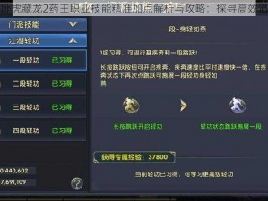 奶四海卧虎藏龙2药王职业技能精准加点解析与攻略：探寻高效治疗之道