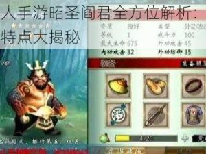 不良人手游昭圣阎君全方位解析：技能属性特点大揭秘