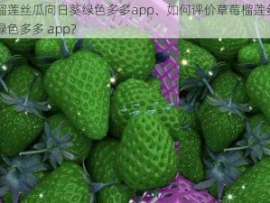 草莓榴莲丝瓜向日葵绿色多多app、如何评价草莓榴莲丝瓜向日葵绿色多多 app？