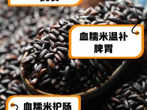 热血传奇手机版糯米用途揭秘：糯米在酿酒属性中的独特作用与解析