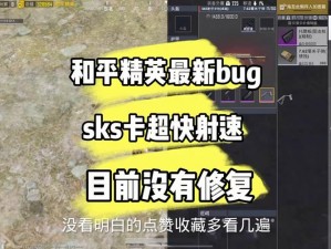 和平精英BUG卡点攻略：实战解析游戏漏洞及应对技巧