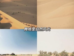 海拉鲁四大种族独特口癖探秘：草原之语、森林之声、沙漠之韵与海洋之傲