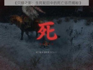 《只狼之影：生死轮回中的死亡惩罚揭秘》