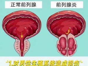 快射精时睾丸升高_男性快射精时为什么睾丸会升高？