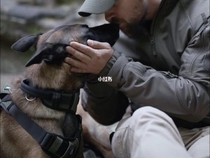 k9 包括哪些项目？——专业训练有素的工作犬服务