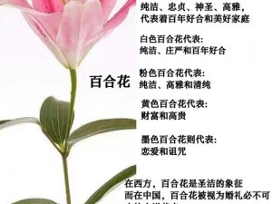 桃源深处有人家百合花怎么配色、桃源深处有人家，百合花如何配色更显高雅？