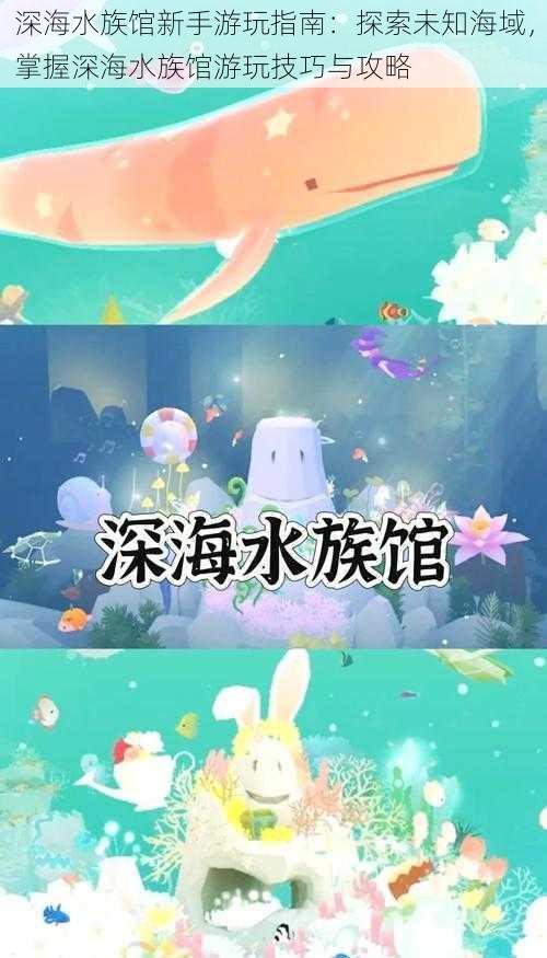 深海水族馆新手游玩指南：探索未知海域，掌握深海水族馆游玩技巧与攻略