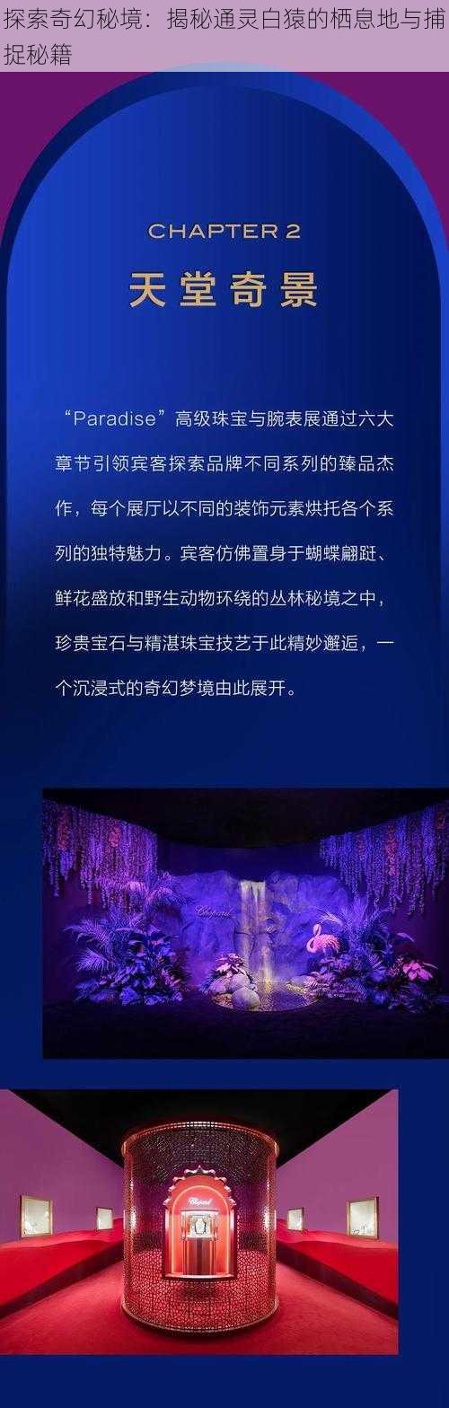 探索奇幻秘境：揭秘通灵白猿的栖息地与捕捉秘籍