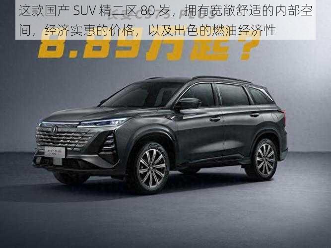 这款国产 SUV 精二区 80 岁，拥有宽敞舒适的内部空间，经济实惠的价格，以及出色的燃油经济性