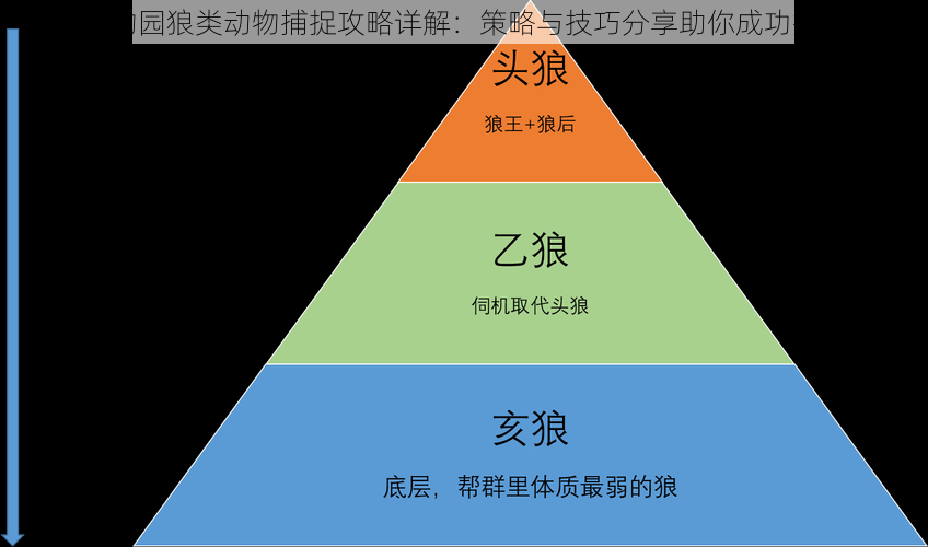 疯狂动物园狼类动物捕捉攻略详解：策略与技巧分享助你成功捕捉狼群