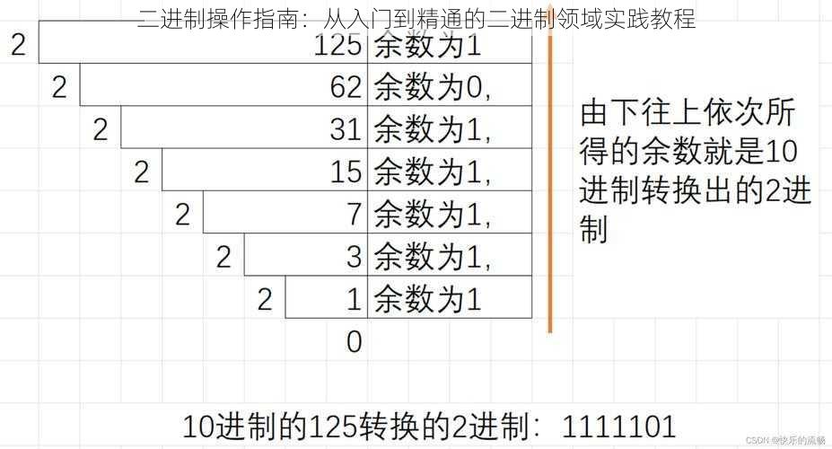 二进制操作指南：从入门到精通的二进制领域实践教程