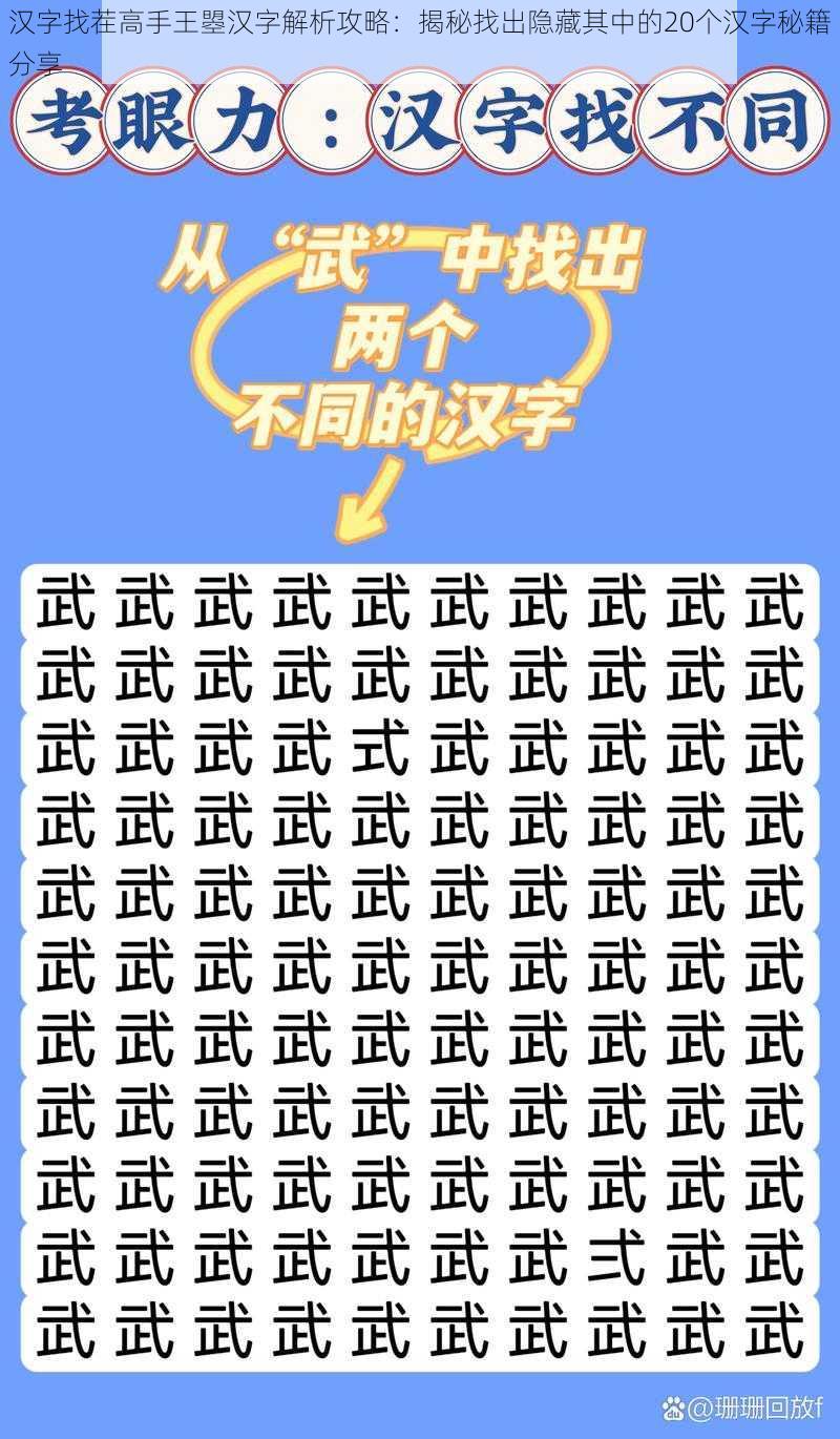 汉字找茬高手王曌汉字解析攻略：揭秘找出隐藏其中的20个汉字秘籍分享