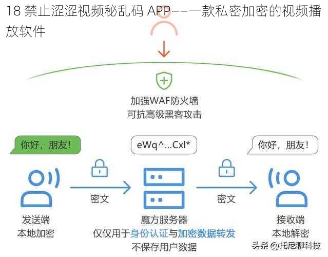 18 禁止涩涩视频秘乱码 APP——一款私密加密的视频播放软件