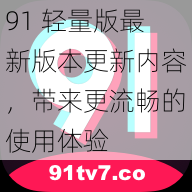 91 轻量版最新版本更新内容，带来更流畅的使用体验