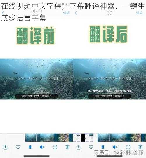 在线视频中文字幕，字幕翻译神器，一键生成多语言字幕