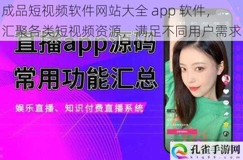 成品短视频软件网站大全 app 软件，汇聚各类短视频资源，满足不同用户需求