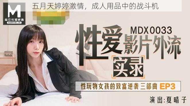 五月天婷婷激情，成人用品中的战斗机