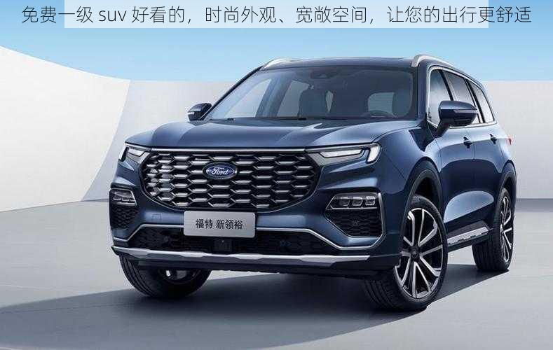 免费一级 suv 好看的，时尚外观、宽敞空间，让您的出行更舒适