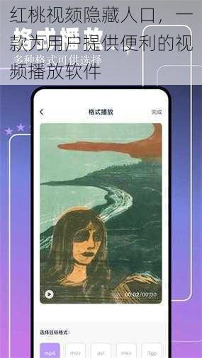 红桃视颏隐藏人口，一款为用户提供便利的视频播放软件