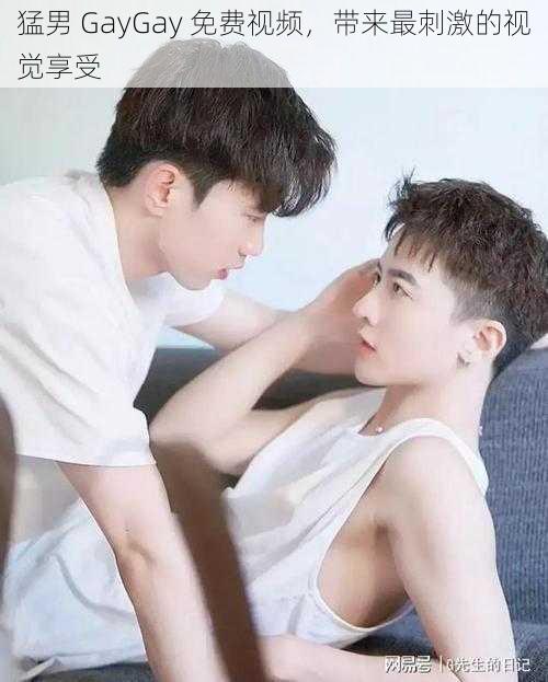 猛男 GayGay 免费视频，带来最刺激的视觉享受