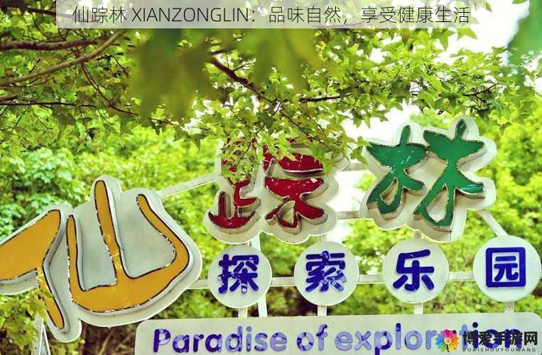 仙踪林 XIANZONGLIN：品味自然，享受健康生活