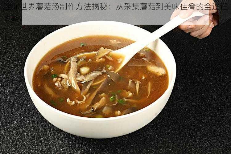 迷你世界蘑菇汤制作方法揭秘：从采集蘑菇到美味佳肴的全过程攻略