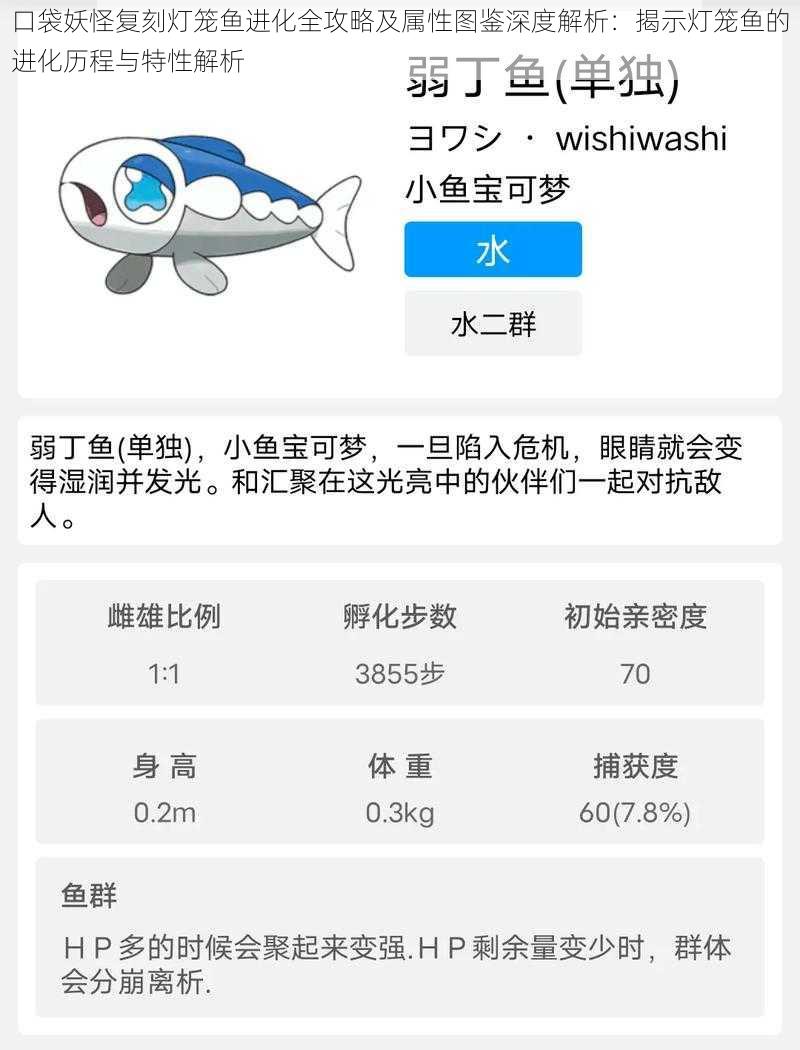 口袋妖怪复刻灯笼鱼进化全攻略及属性图鉴深度解析：揭示灯笼鱼的进化历程与特性解析