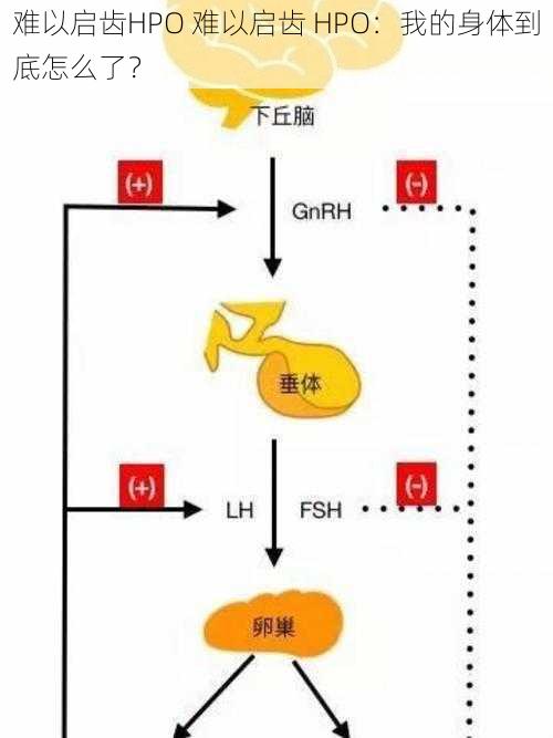 难以启齿HPO 难以启齿 HPO：我的身体到底怎么了？