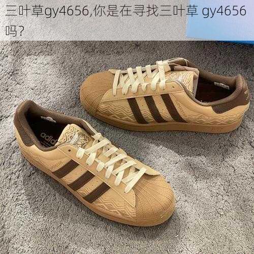 三叶草gy4656,你是在寻找三叶草 gy4656 吗？