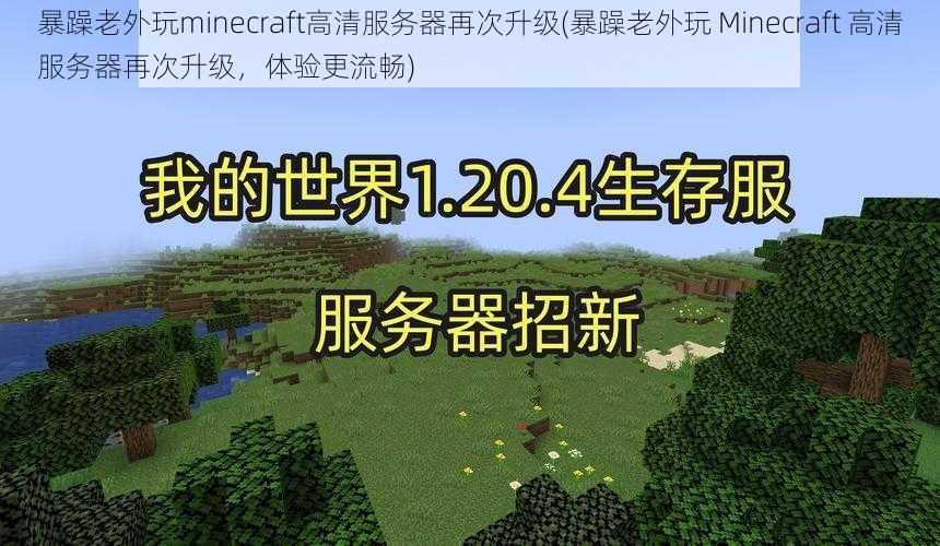 暴躁老外玩minecraft高清服务器再次升级(暴躁老外玩 Minecraft 高清服务器再次升级，体验更流畅)