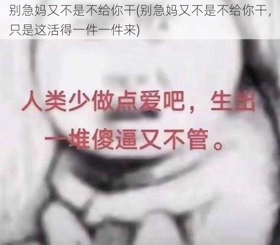 别急妈又不是不给你干(别急妈又不是不给你干，只是这活得一件一件来)