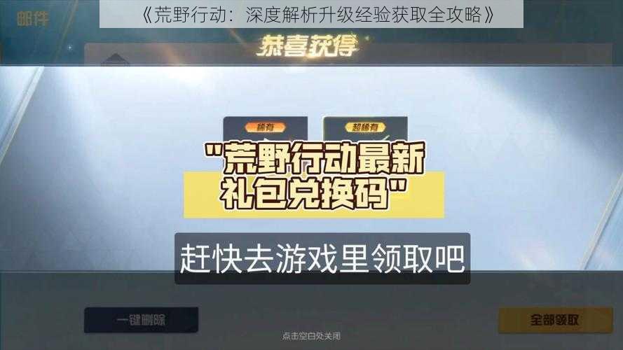 《荒野行动：深度解析升级经验获取全攻略》