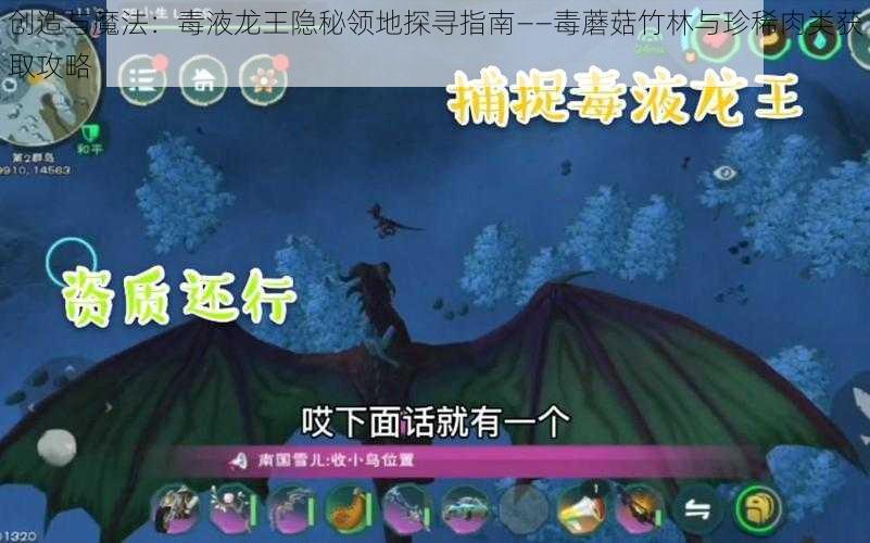 创造与魔法：毒液龙王隐秘领地探寻指南——毒蘑菇竹林与珍稀肉类获取攻略