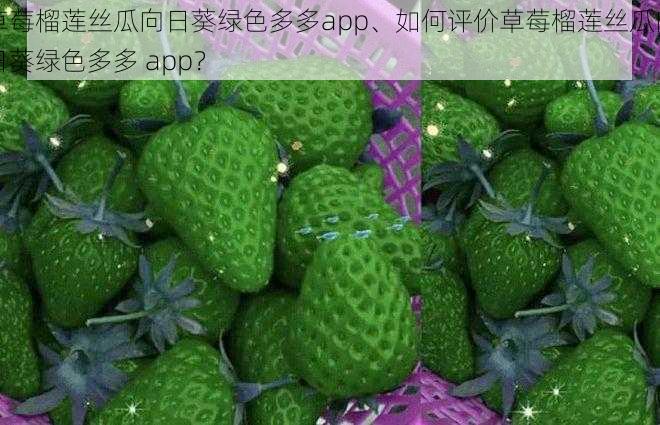 草莓榴莲丝瓜向日葵绿色多多app、如何评价草莓榴莲丝瓜向日葵绿色多多 app？