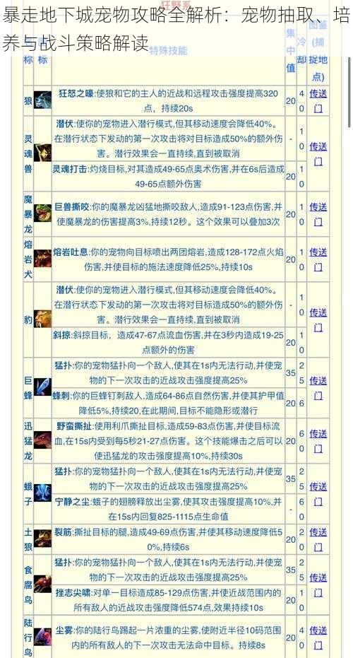 暴走地下城宠物攻略全解析：宠物抽取、培养与战斗策略解读