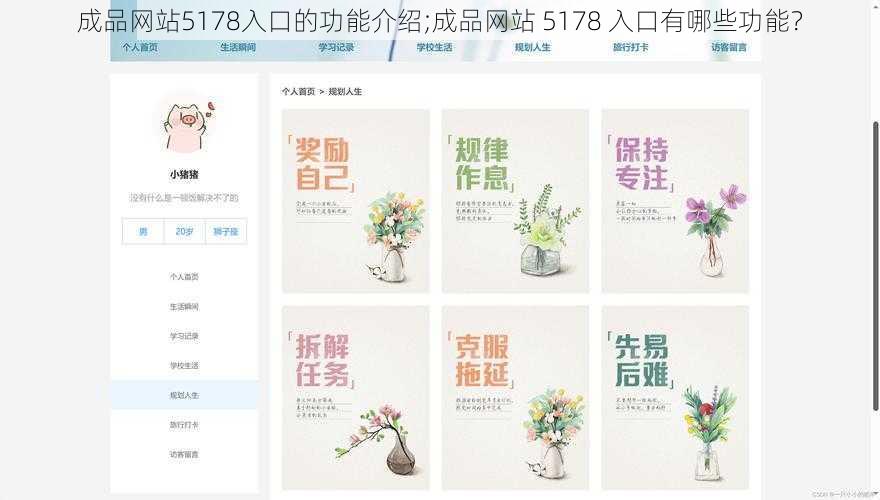 成品网站5178入口的功能介绍;成品网站 5178 入口有哪些功能？